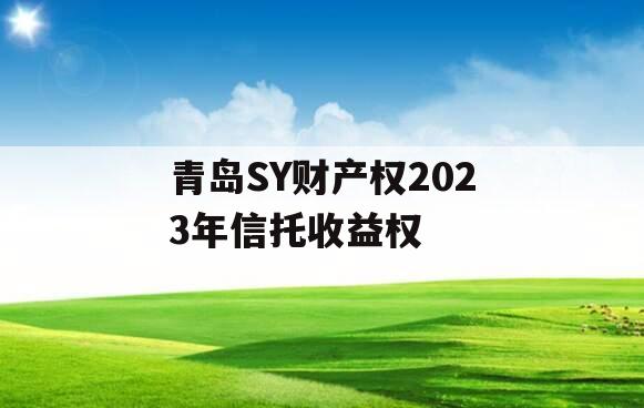 青岛SY财产权2023年信托收益权