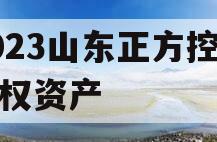 2023山东正方控股债权资产