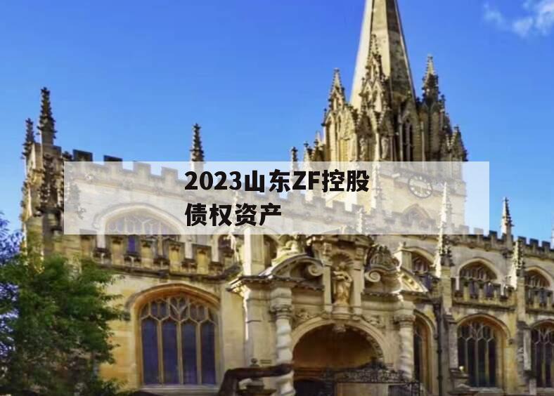 2023山东ZF控股债权资产