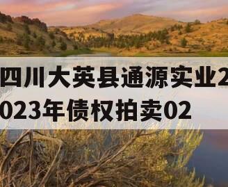 四川大英县通源实业2023年债权拍卖02