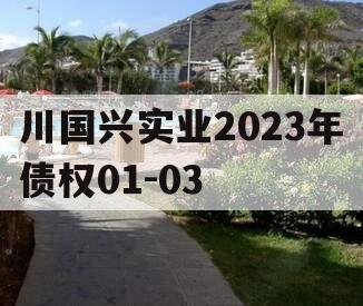 川国兴实业2023年债权01-03