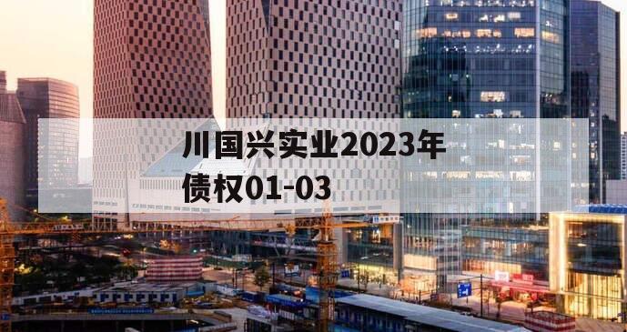 川国兴实业2023年债权01-03