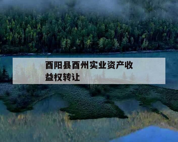 酉阳县酉州实业资产收益权转让