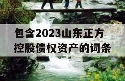 包含2023山东正方控股债权资产的词条