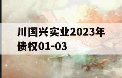 川国兴实业2023年债权01-03