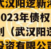 湖北武汉阳逻新港产业投资2023年债权转让计划（武汉阳逻新港产业投资有限公司）