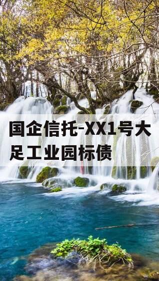 国企信托-XX1号大足工业园标债