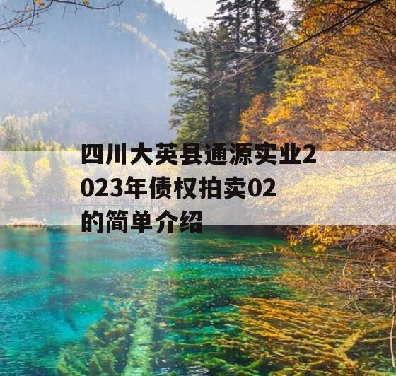 四川大英县通源实业2023年债权拍卖02的简单介绍