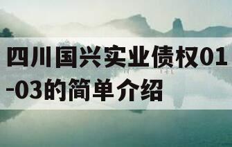 四川国兴实业债权01-03的简单介绍