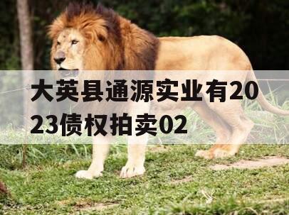 大英县通源实业有2023债权拍卖02