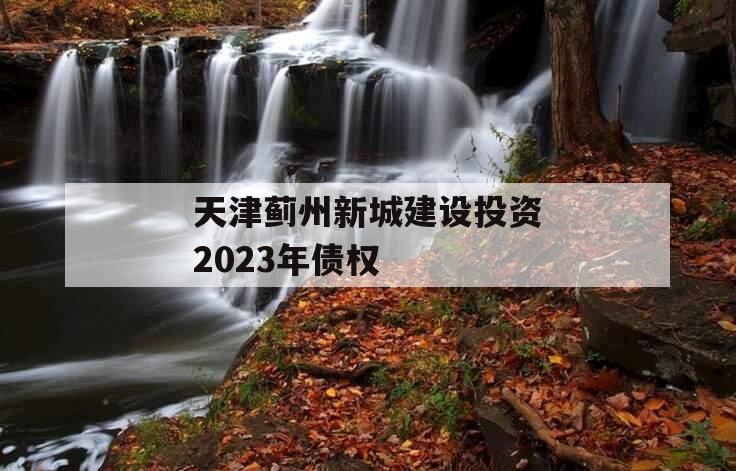 天津蓟州新城建设投资2023年债权