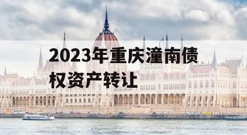 2023年重庆潼南债权资产转让