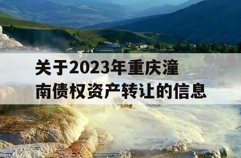 关于2023年重庆潼南债权资产转让的信息