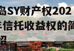 青岛SY财产权2023年信托收益权的简单介绍