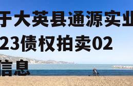 关于大英县通源实业有2023债权拍卖02的信息