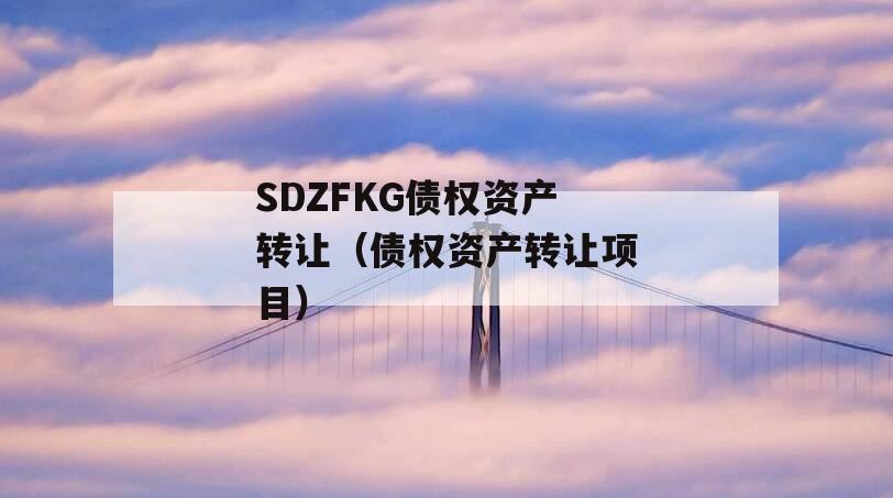 SDZFKG债权资产转让（债权资产转让项目）