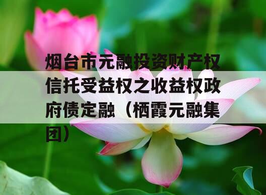 烟台市元融投资财产权信托受益权之收益权政府债定融（栖霞元融集团）