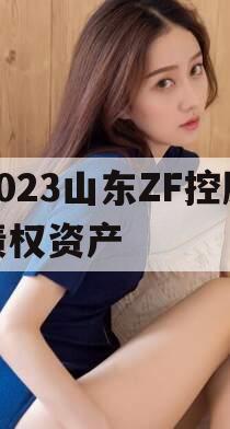 2023山东ZF控股债权资产