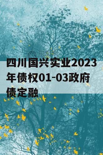 四川国兴实业2023年债权01-03政府债定融