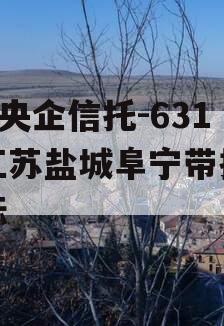 A级央企信托-631号江苏盐城阜宁带抵押非标