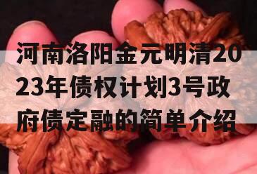 河南洛阳金元明清2023年债权计划3号政府债定融的简单介绍