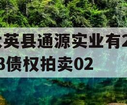 大英县通源实业有2023债权拍卖02