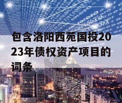 包含洛阳西苑国投2023年债权资产项目的词条