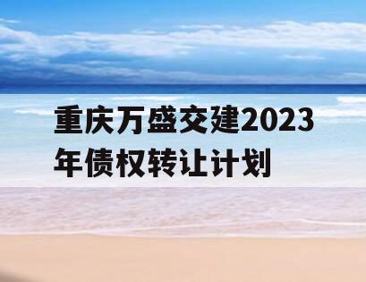 重庆万盛交建2023年债权转让计划