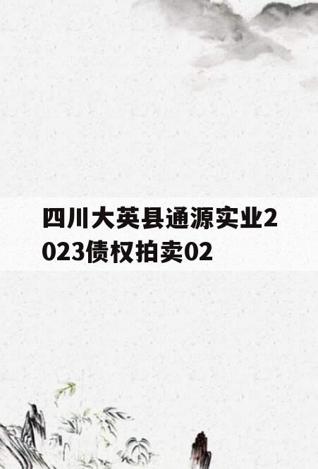 四川大英县通源实业2023债权拍卖02