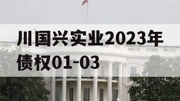 川国兴实业2023年债权01-03