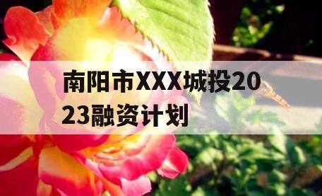 南阳市XXX城投2023融资计划