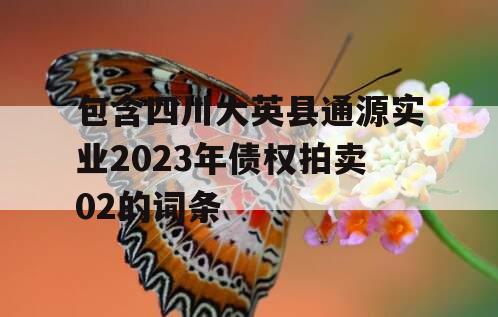 包含四川大英县通源实业2023年债权拍卖02的词条