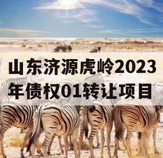 山东济源虎岭2023年债权01转让项目