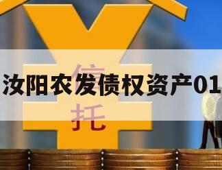 汝阳农发债权资产01