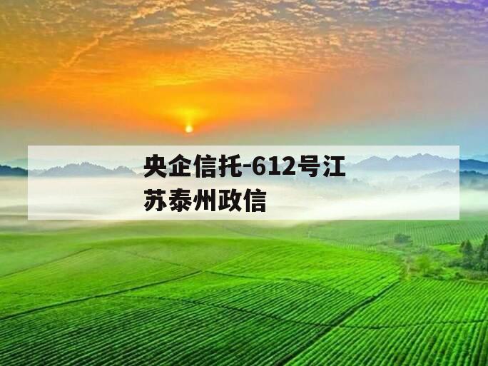 央企信托-612号江苏泰州政信