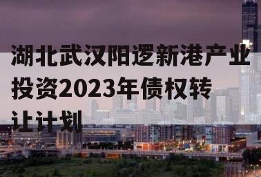 湖北武汉阳逻新港产业投资2023年债权转让计划