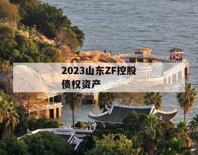 2023山东ZF控股债权资产