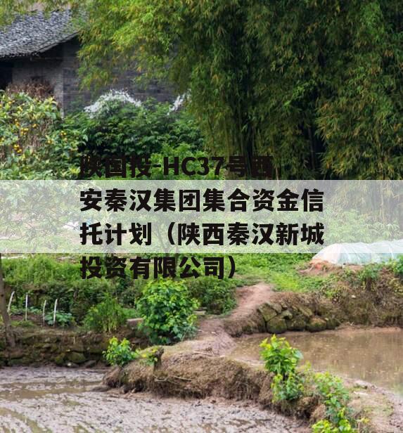 陕国投-HC37号西安秦汉集团集合资金信托计划（陕西秦汉新城投资有限公司）