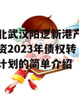 湖北武汉阳逻新港产业投资2023年债权转让计划的简单介绍