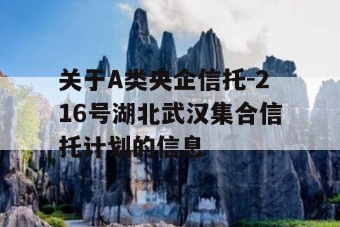 关于A类央企信托-216号湖北武汉集合信托计划的信息