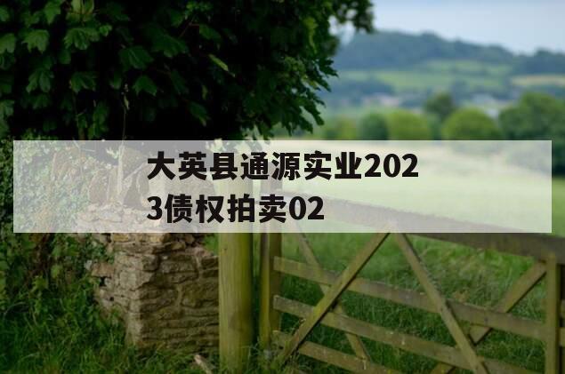 大英县通源实业2023债权拍卖02