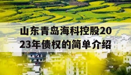 山东青岛海科控股2023年债权的简单介绍