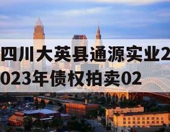 四川大英县通源实业2023年债权拍卖02