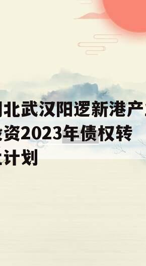 湖北武汉阳逻新港产业投资2023年债权转让计划