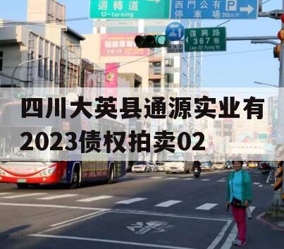 四川大英县通源实业有2023债权拍卖02