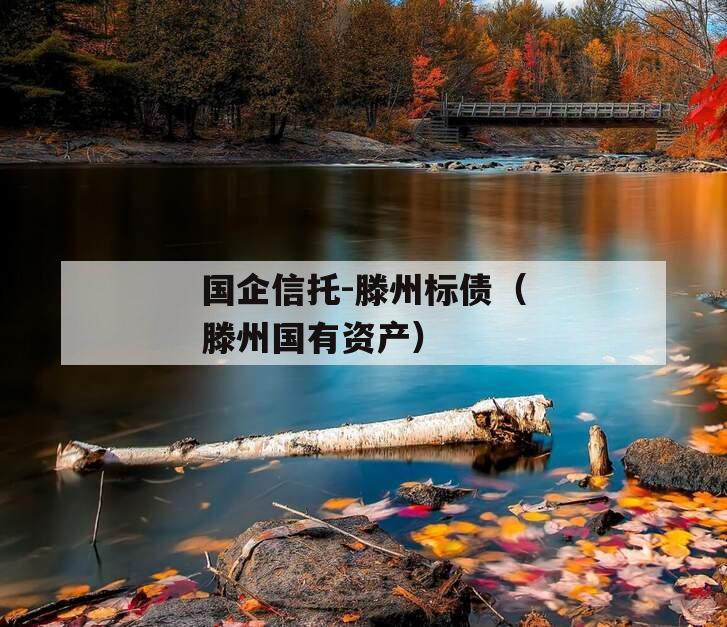 国企信托-滕州标债（滕州国有资产）