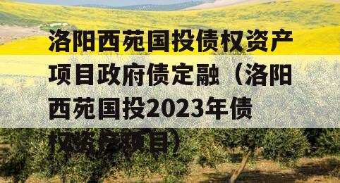 洛阳西苑国投债权资产项目政府债定融（洛阳西苑国投2023年债权资产项目）