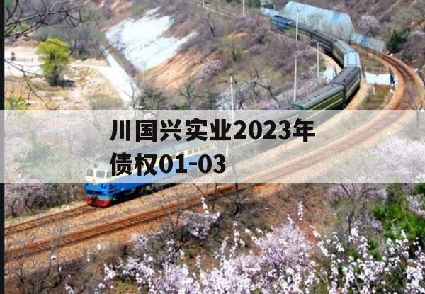 川国兴实业2023年债权01-03