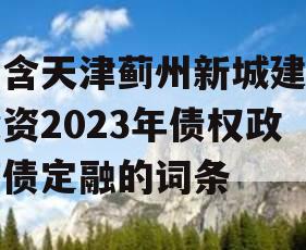 包含天津蓟州新城建设投资2023年债权政府债定融的词条