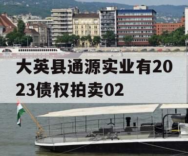 大英县通源实业有2023债权拍卖02